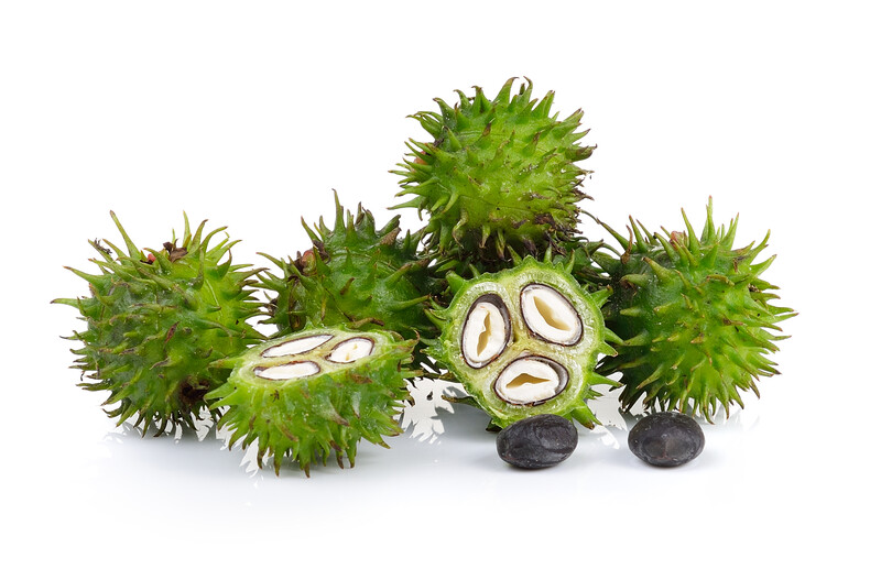 Antibacterial Foot Soak - Private Label, OEM & Contract Manufacturer