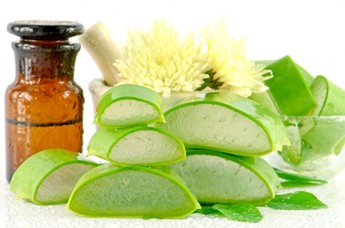 Aloe & Olive Moisturizer