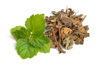 Beard wash(Patchouli)