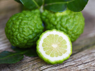 Citrus Bergamot Extract